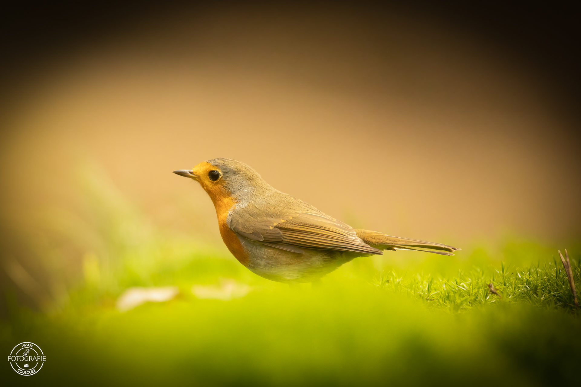 23 oktober 2022 131551 1R2A0543 bewerkt